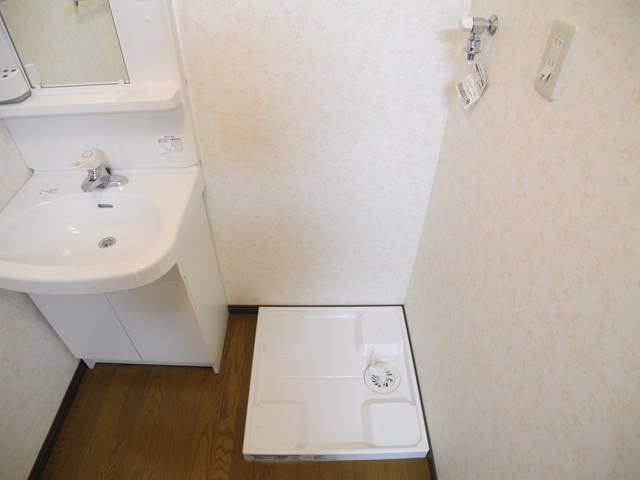 スカイコート西山の洗面所
