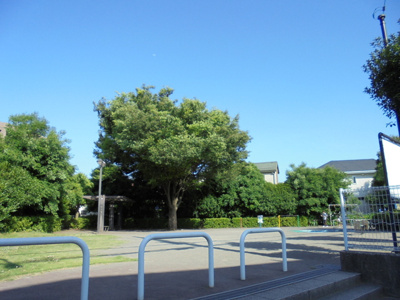 淵野辺本町どんぐり公園／130ｍ