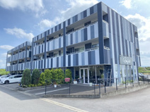 シュエットの画像