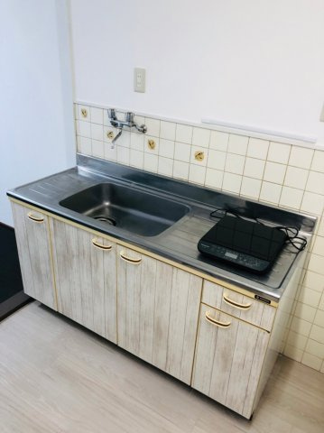 この部屋は女性専用!!ＶＩＬＬＡ　ＮＯＲＴＨＬＡＮＤのキッチン