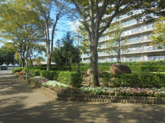【周辺】 | 【敷地内の風景】緑が多く整った環境です。