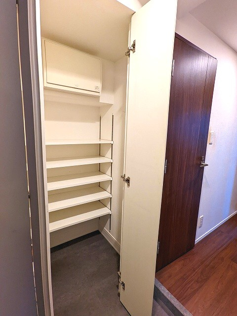 RESIDIA新御徒町Ⅱの玄関|レジディア新御徒町Ⅱシューズインクローゼットです
