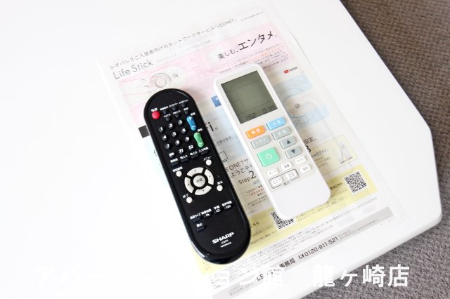 レオパレスジャパンのその他