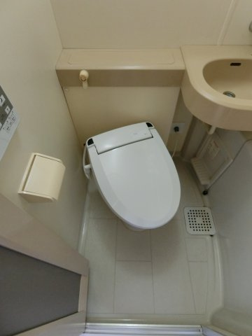 アルビヨン錦のトイレ