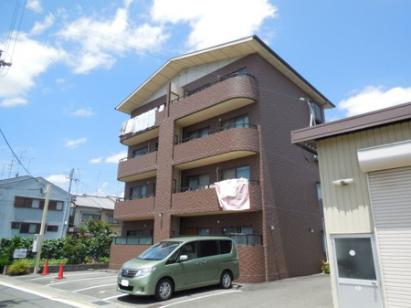 フォルセ桂の画像