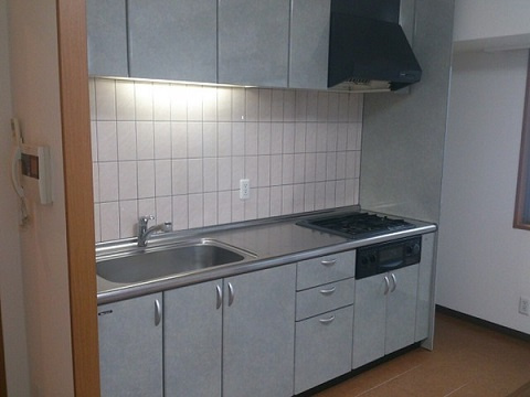 中央区築地１丁目の賃貸マンションのキッチン|同反転タイプ参照