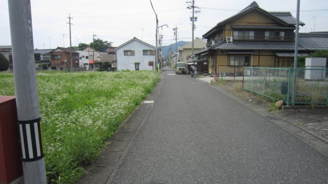 土地　大野町黒野の前面道路含む現地写真|東側道路　北方向