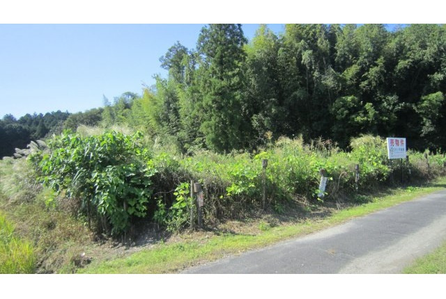 土地　福富永田