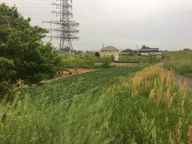 土地　七崎の外観|外観