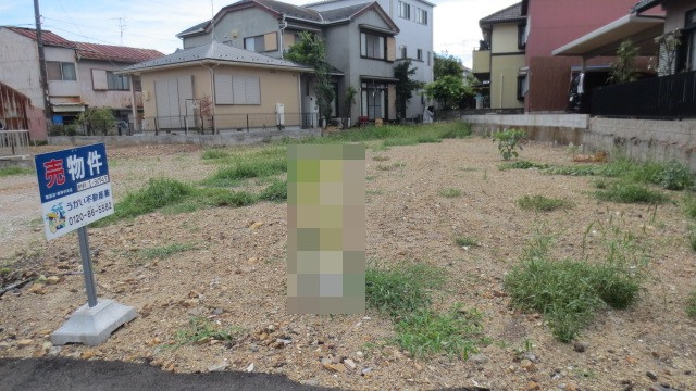 土地 領下の外観|外観