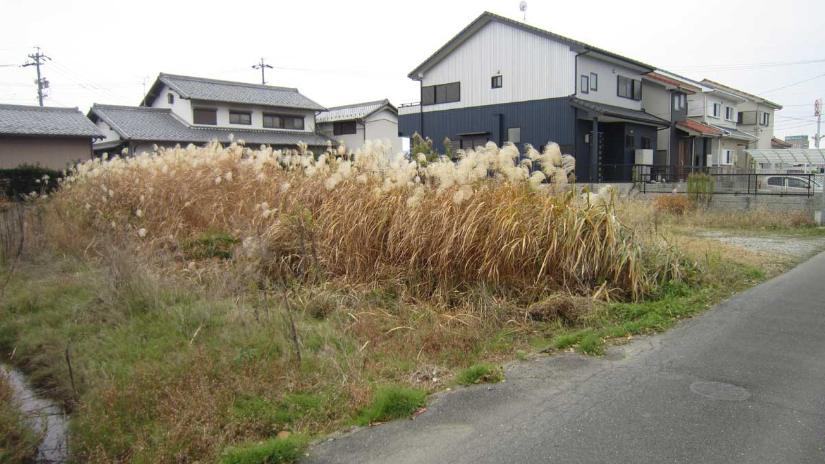 土地　江吉良町の外観|外観