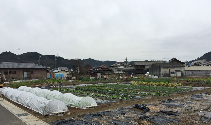 土地　岩佐の外観|外観
