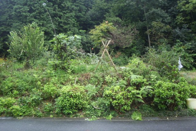 土地 高富の外観|外観