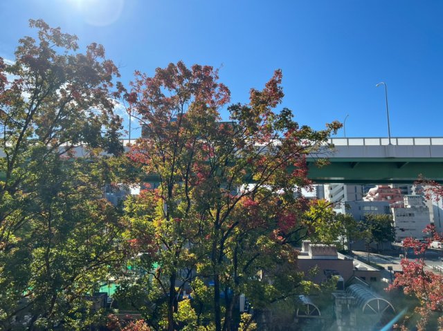 デュオフラッツ栄|名古屋市の賃貸ならMy賃貸の展望|デュオフラッツ栄