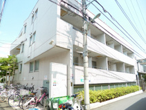 Style-oggi.の画像