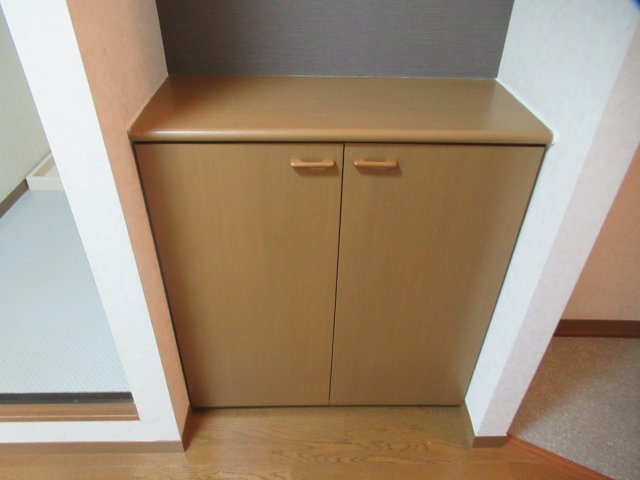 プラティ　ニューセジュールの収納