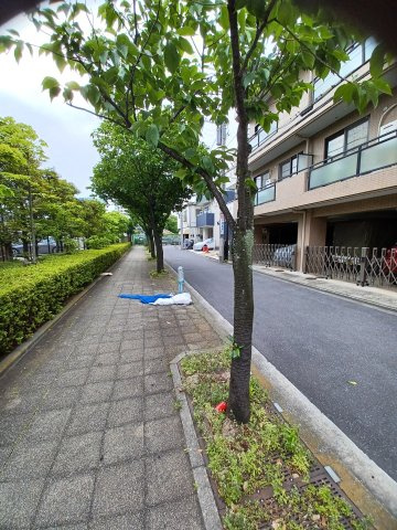 エミネント大森の周辺
