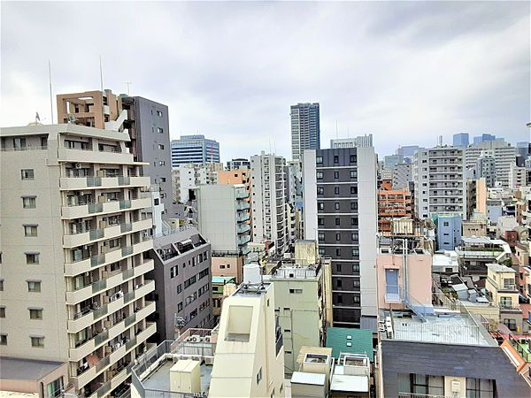 藤和シティホームズ御徒町の展望