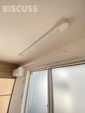 PLAISIR La Lumierepureのその他