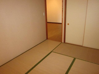 ライネスハイムⅡのその他