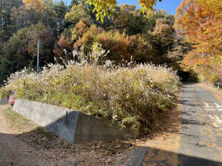 【外観】 | 南東角から撮影