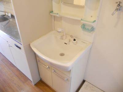 ハウスセゾン御所南の洗面所|シャンプードレッサー