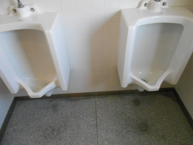 ＩＧ石田学園ビル　9階北側のトイレ|落ち着いた色調のトイレです