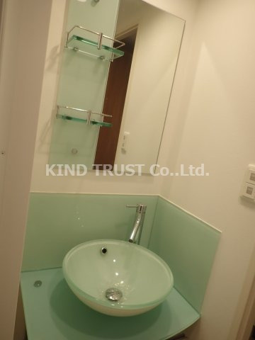 レジュールアッシュ梅田アクシアの洗面所