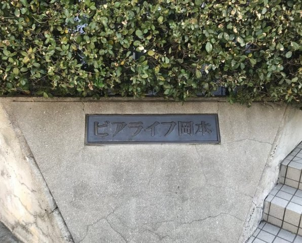 ビアライフ岡本の外観