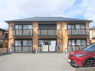 ディアス花森の画像