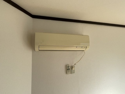 【その他】 | ヒラヤマビル