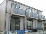 オセアン馬絹の画像