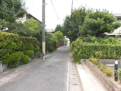 アムールKuraganoの周辺|前面道路