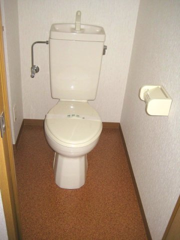 熊本市北区飛田２丁目の賃貸マンションのトイレ