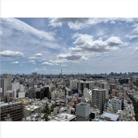 【展望】