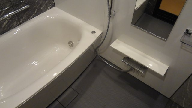 プレシス上野リュクスの浴室