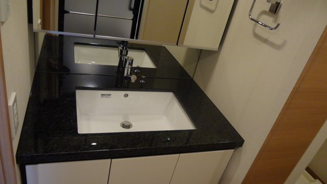 プレシス上野リュクスの独立洗面台