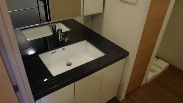 プレシス上野リュクスの洗面所