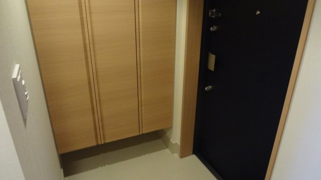 プレシス上野リュクスの玄関