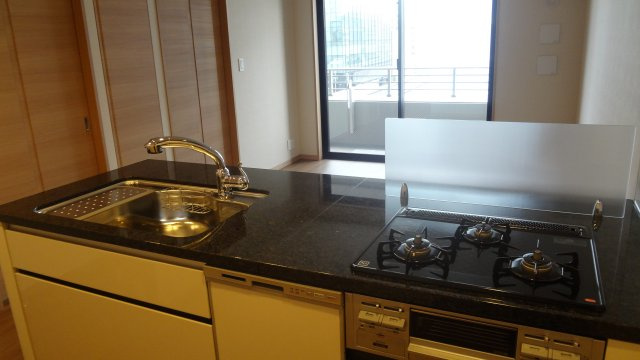 プレシス上野リュクスのキッチン