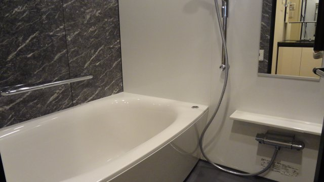 プレシス上野リュクスの浴室