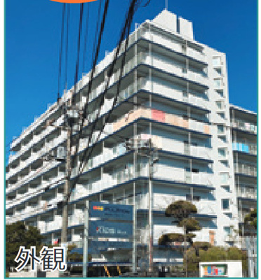【外観】 | 三郷市幸房 ハイラーク三郷　 | きれいな外観です