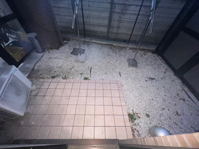 【バルコニー】 | パレソレイユ上北沢