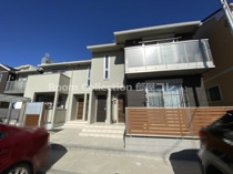 カモーリの画像