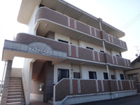 ティファニーＳＴの画像