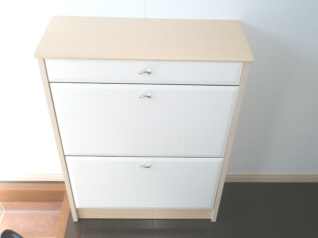 TKアパートメント【10,000円キャッシュバック対象物件】の玄関