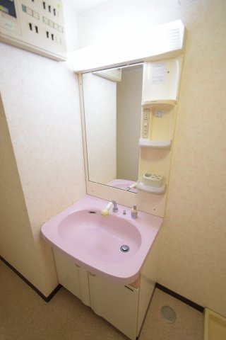 デルフィ21の洗面所