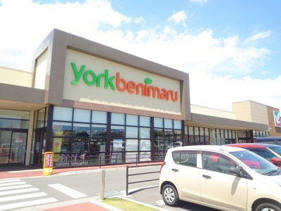 【周辺】 | ソシアＡ | ヨークベニマル東海店まで1000m