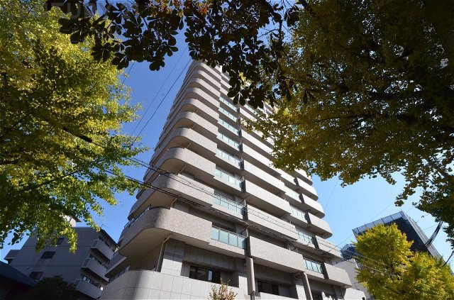 駅前ランドタワー的なマンションです