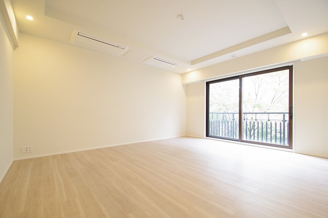 港区赤坂８丁目の賃貸マンションのその他|リビング